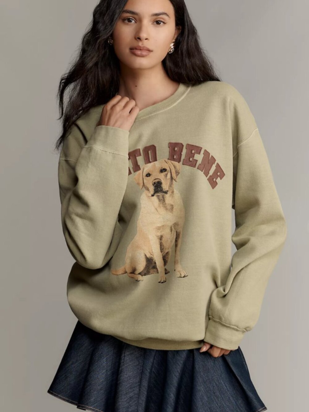 NWT Anthropologie ~ Molto Bene ~ Dog Sweatshirt ~ M / L